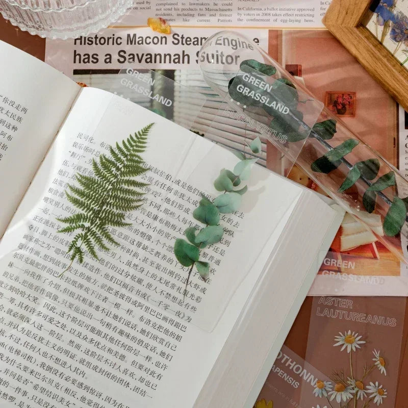 5 Pcs/set Natural Plant Flower Leaves Series Bookmark