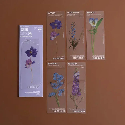 5 Pcs/set Natural Plant Flower Leaves Series Bookmark