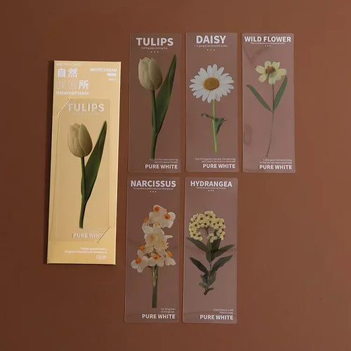 5 Pcs/set Natural Plant Flower Leaves Series Bookmark