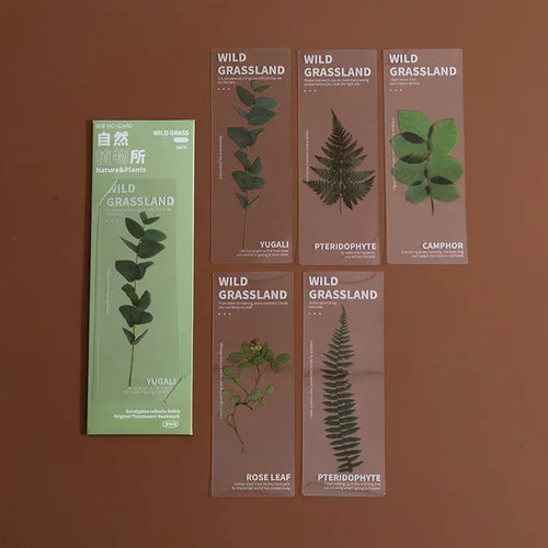 5 Pcs/set Natural Plant Flower Leaves Series Bookmark